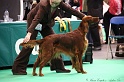 Crufts2011 328